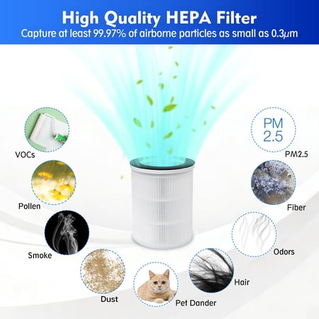 HOME TIMES 2 PACK H13 HEPA REPLACEMENT FILTERS, COMPATIBLE WITH AIRFIRE AP206 & KJ100 AIR PURIFIER, DESIGNED FOR PETS & KIDS, PET FUR & HOME ODOR REMOVAL
