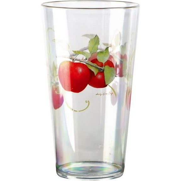 Reston Lloyd 75999 6pc Acrylic Drinkware Set 19oz  Harvest Apple