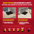 thumbnail image 4 of Catchmaster Mouse & Insect Glue Traps 40-Pk, Classic Sticky Traps for Bugs & Mice, 4 of 7