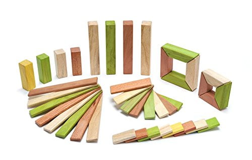 tegu 40 piece set