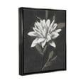 thumbnail image 3 of Stupell Industries Traditional White Dahlia Flower Graphic Art Jet Black Floating Framed Canvas Print Wall Art, Design by Nina Blue, 3 of 6