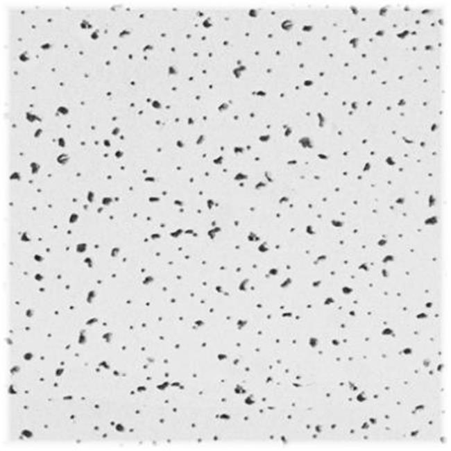 Usg Interiors R2120 Radar Ceiling Tile Pack Of 16