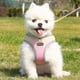 thumbnail image 4 of Escape Proof Cat Harness and Leash Set Adjustable Mesh Dog Harness Vest Puppy Pet Walking Lead Leash(A), XL, 4 of 5