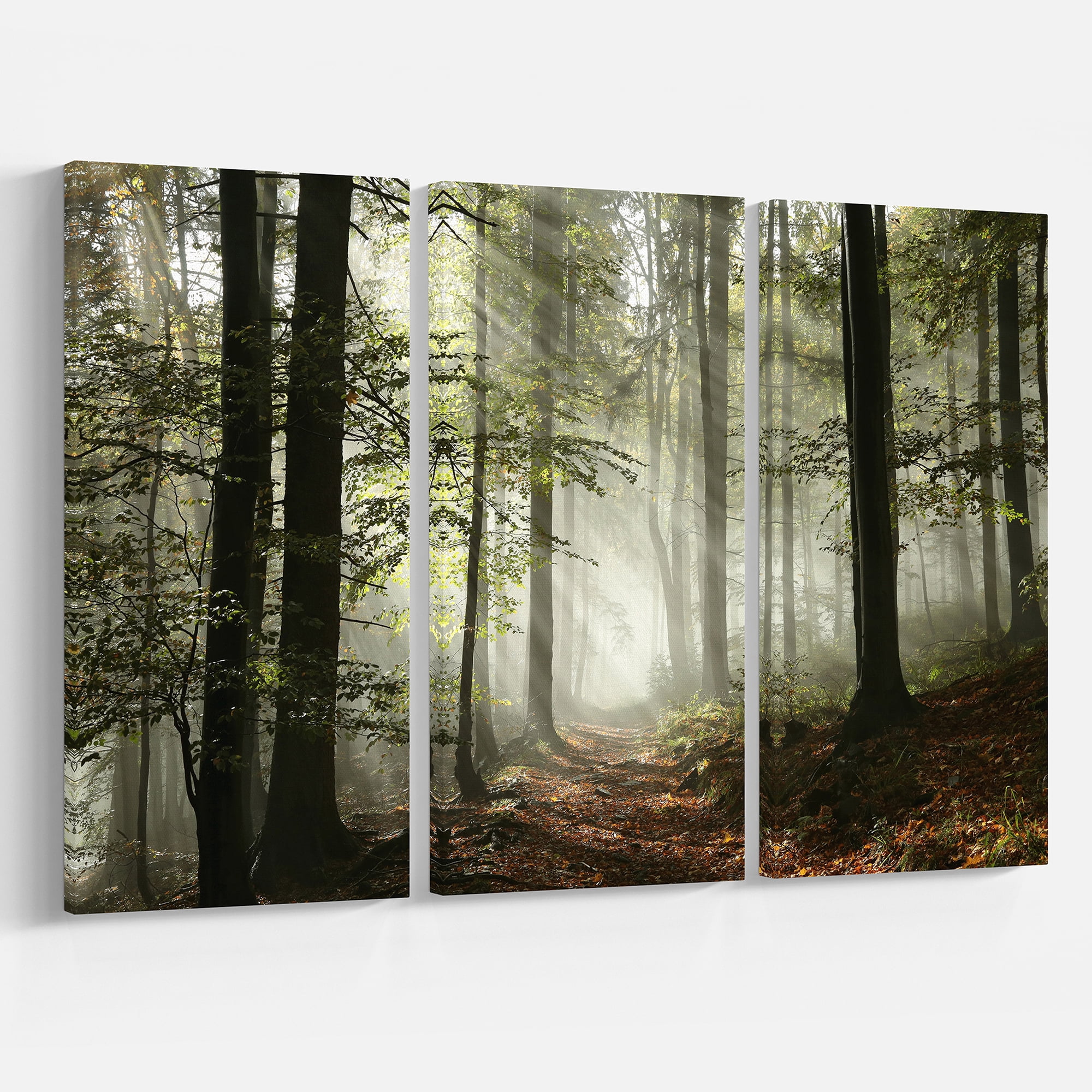 Designart 'Light in Dense Fall Forest with Fog ' Landscape Art Print Canvas