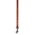 thumbnail image 2 of Nederland - Dog Leash (6 ft long), 2 of 2