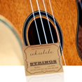 thumbnail image 1 of Kit de accesorios para ukelele, cuerdas de ukelele, correa para el hombro, cejilla de dedo, juego combinado 4 en 1 Unbranded YQ00865, 1 of 8