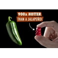 thumbnail image 2 of Lil' Nitro: The World's Hottest Gummy Bear, 2 of 2