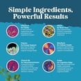 thumbnail image 5 of Suplemento cerebral nootrópico para mejorar la memoria y el enfoque - Vitaminas para la salud mental y la claridad con VIT A, B6, riboflavina, niacina, tiamina y folato - Complejo cognitivo para la vi, 5 of 5