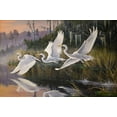 thumbnail image 2 of Goebel, Wilhelm 14x11 Black Ornate Wood Framed with Double Matting Museum Art Print Titled - Morning Departure Egrets, 2 of 4