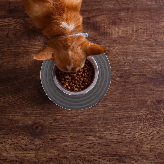 RENACLIPY 2Ud De Silicona Resistente Al Calor Color Para Comedor De Mascotas Y Cocina