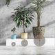 thumbnail image 3 of Maceta hueca protectora para suelo, recortable, con clavos, para uso en plantas de jardín en casa, tamaño mediano, redonda, color café, 3 of 5