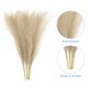 thumbnail image 3 of 4 Paquetes de Hierba Pampas Falsa de 17 Pulgadas 6 Tallos Hierba Artificial para Decoración, Café Oscuro, 3 of 6