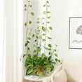 thumbnail image 6 of BToBackyard Vine Wall Fixing Device 10pcs Set Gardening Tools Supplies 3 Colors 10PCS ABS Material Snails Sticky Hook Plant Support, 6 of 21