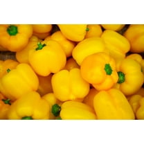 Sunbright Yellow Bell Pepper Premium Seed Packet
