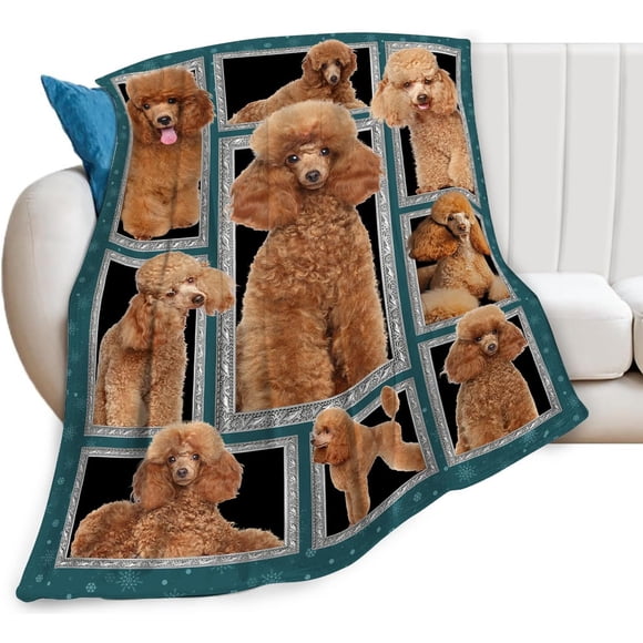 Poodle Blanket Poodle Puppy Decor Throw Blanket Super Soft Flannel Lightweight Fluffy Plush Cozy Fuzzy Fleece Stuff Blanket Gifts for Dog Lovers Woman Girls Boys Adults Man for Bedding Sofa 50"x60"