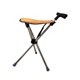 thumbnail image 2 of Asiento de bastón,Silla de bastón plegable fácil de transportar,Bastón de senderismo ligero con asiento antideslizante y portátil.,Taburete de caña con soporte para personas naranja, 2 of 9