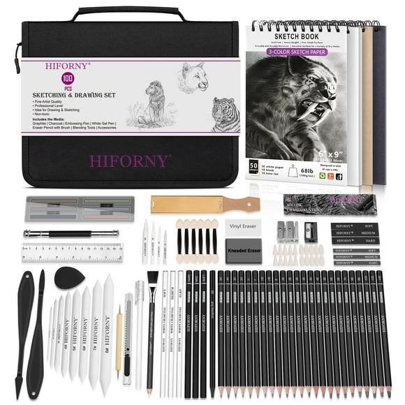 Set de dibujo HIFORNY, kit de bocetos, 100 unidades con grafito y carboncillo
