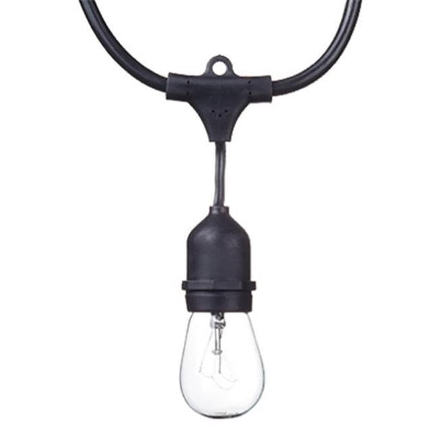 Globe Electric 241493 48 ft. Dublin Collection 24 Light S14 LED String Light Set, 80 Lumens