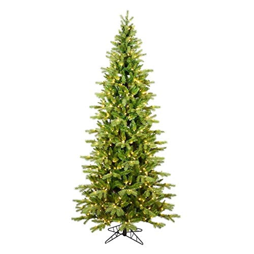 Vickerman 574539 - 10' x 80" Balsam Spruce 1100 Clear Miniature Lights Christmas Tree (K186386)