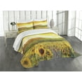 thumbnail image 3 of Ambesonne Oranger Quilted Bedspread Set 3 Pcs, Golden Sunflower Field, Queen Size, Orange Yellow, 3 of 5