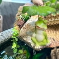 thumbnail image 3 of Frog Statue for Garden - Lotus Leaf Sitting Frog Figurines Decor Cute Craft Resin Frog Sculpture Decor for Outdoor Yard Garden Pond Home Office Desk Tabletop Gift Ornament, 3 of 8