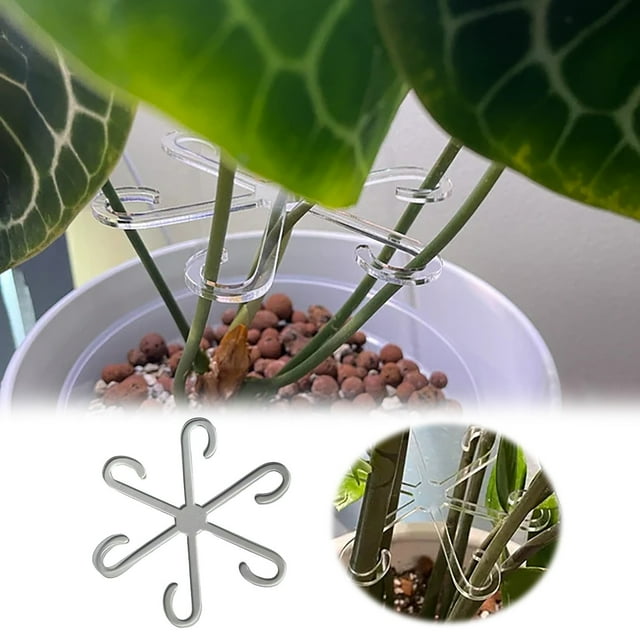HHSFEIFUUU Support Garden Vegetable Patch Root Holder Clips 12x10.6x0.3cm