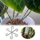 thumbnail image 2 of Soporte para tallos: de plástico, ajustable, para flores/hortalizas, jardín/patio, crecimiento sin roturas, 2 of 7