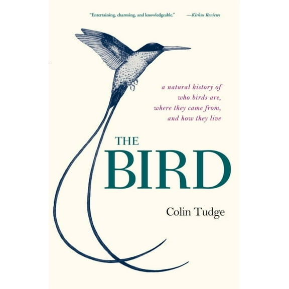 The Bird, (Paperback)