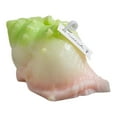 thumbnail image 1 of Diceymbol Christmas Conch Shell Soy Wax Aromatherapy Candle 4 Inch Coastal Holiday Decor with 35 Hour Burn Time, Sea Breeze or Peach Scent Options, 1 of 7