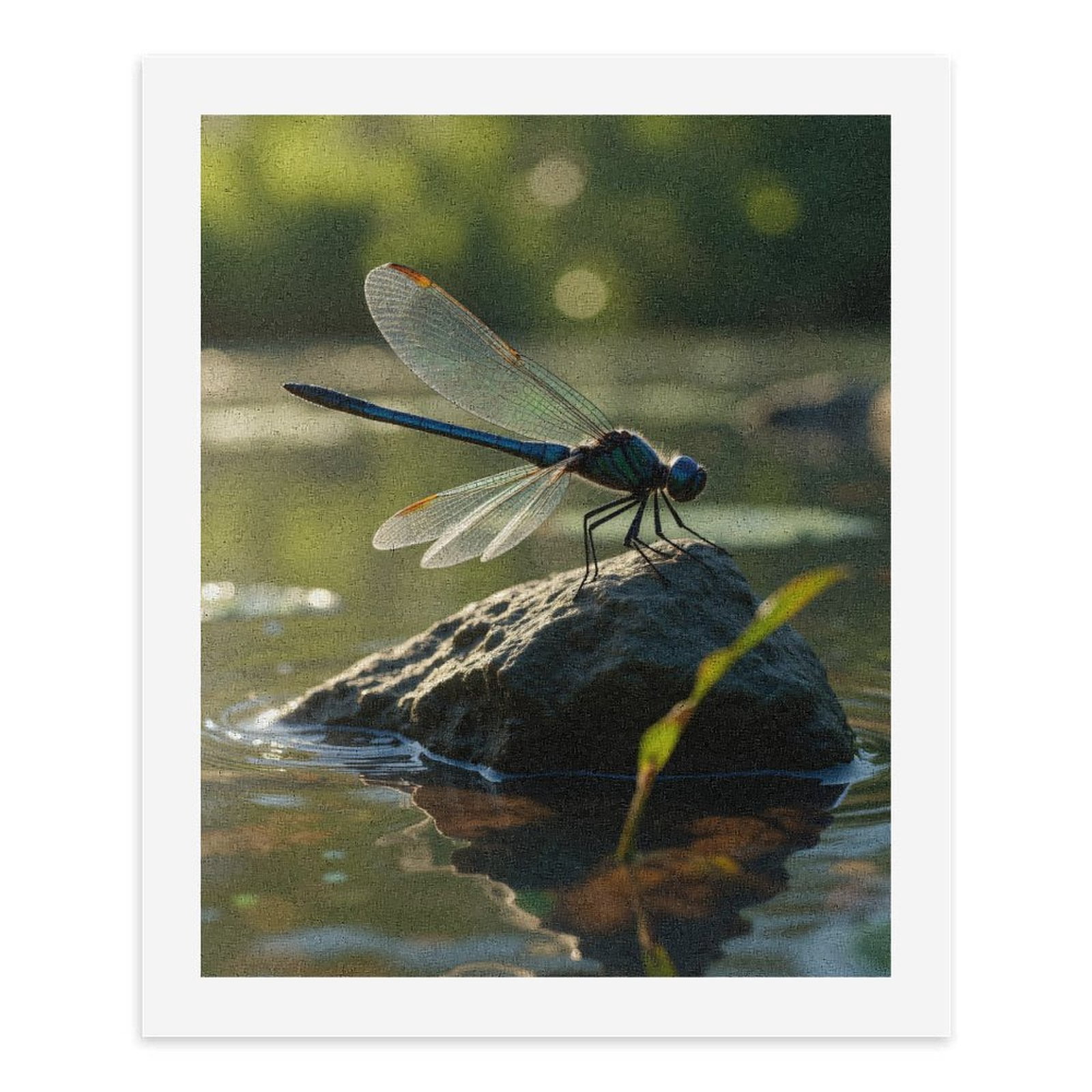Paint By Numbers Kit for Adults Beginner - DIY Dragonfly Resting On Rock Canvas Painting Kits for Adults, Frameless Paint By Number for Adults for Home Wall Decor 16x20 Inch