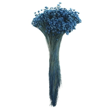 14" Navy Blue Dried Campo Flower Bunch by Ashland® - Fall Floral for Crafts and Home Decor