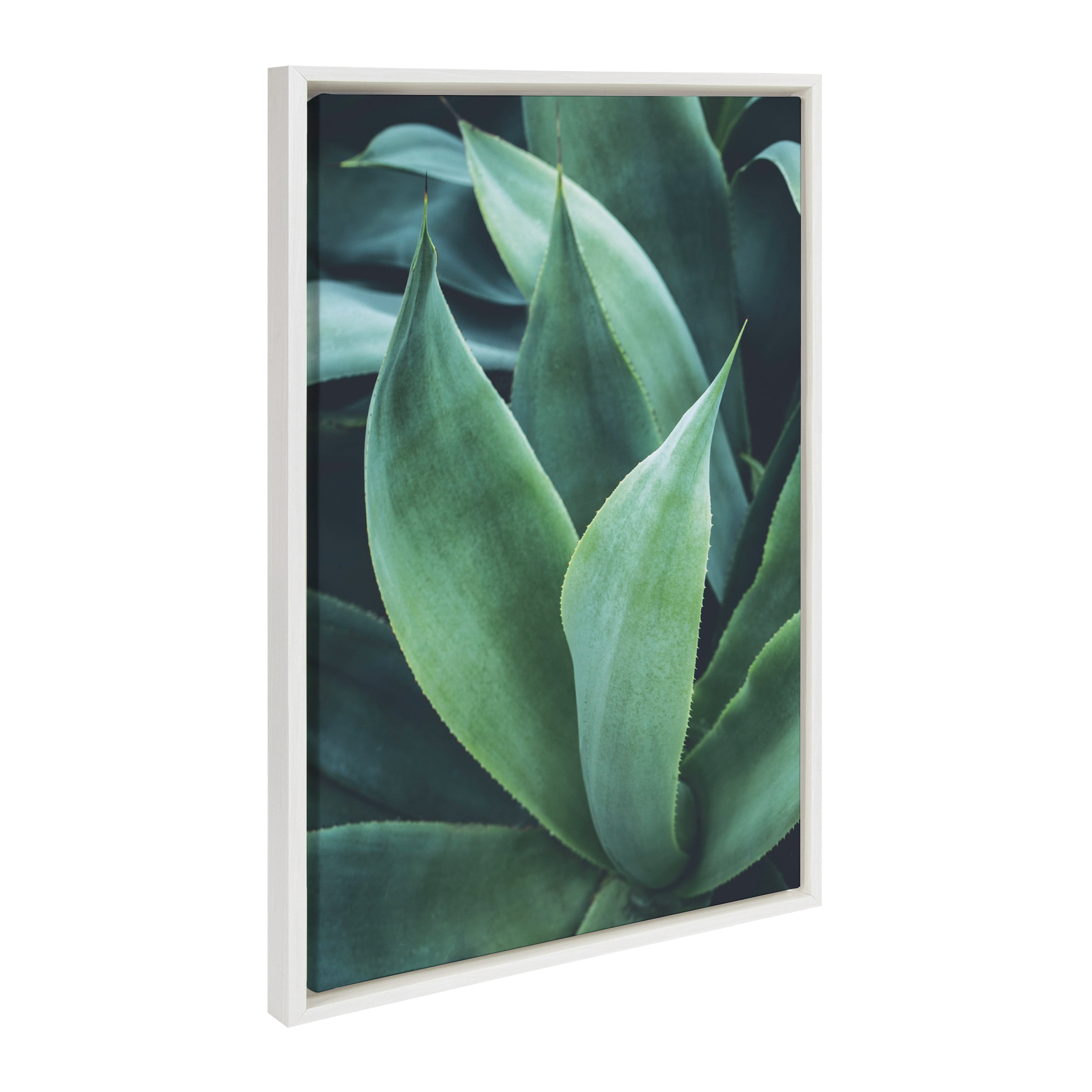 Kate and Laurel Sylvie Agave II Framed Canvas Art Print, 23" x 33", byF2 Images