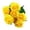 Yellow, variant on 10 Heads Artificial Silk Rose Flowers Small Bouquet Flores Home Party Spring Wedding Decoration Fake Flower, Artificial Roses Flowers 1 Bundle