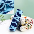 thumbnail image 2 of Ropa interior con forma de dinosaurio para niños GRPSKCOS, paquete de 5 unidades, para niños de 4 a 6 años, 2 of 6