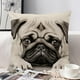 thumbnail image 5 of Funda de almohada decorativa con estampado animal para sofá | Protector de tela suave y duradero | Decoración para interiores y exteriores: sala de estar, dormitorio, coche., 5 of 6