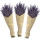 thumbnail image 5 of Bearachild Paquetes de lavanda seca natural, lavandas ligeras, hermoso ramo de flores, arreglo de flores, accesorio para fiesta en casa Decoración del hogar Lavanda seca 50 gramos Bearachild  HA084088-01, 5 of 6