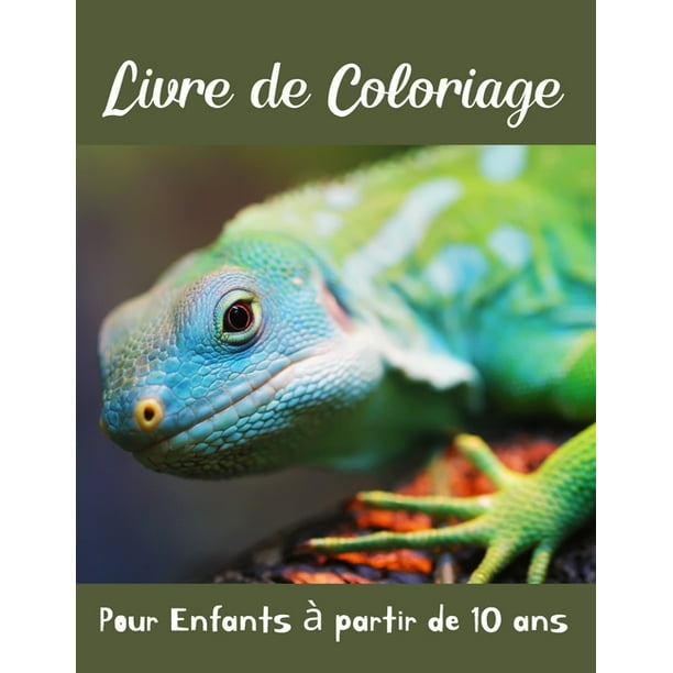 Livre de Coloriage pour Enfants d s 10 ans Cahier coloriage pour gar