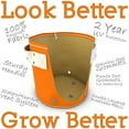 thumbnail image 4 of Bloem RCCL212 2 gal Classic Planter Union - Red, 4 of 4