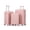 Pink, variant on 20"/24"/28" 3 pcs/set in ABS Spinner Wheel Luggage, Carry on Suitcase, with Cup Holder & USB Port & Phone Holder (Pink)