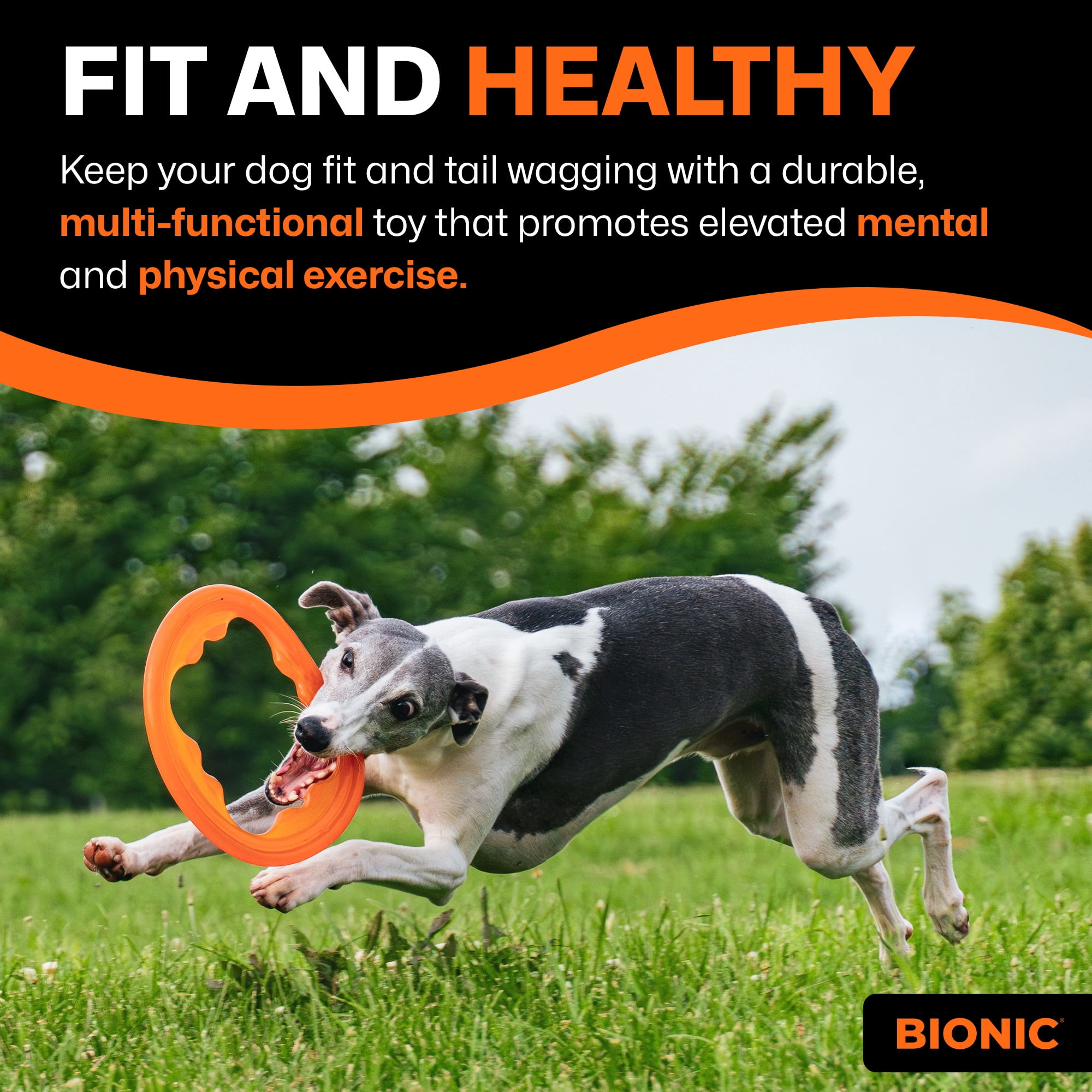 BIONIC Toss-N-Tug Turbo