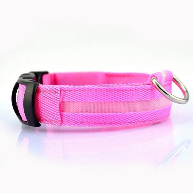 Collier Lumineux LED pour Chien Corde USB Petit Collier Lumineux
