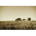 thumbnail image 2 of Alan Hausenflock 24x17 Gallery Wrapped Canvas Wall Art Titled - Goochland Farm I, 2 of 4