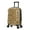 CHEETAH, variant on InUSA Print 20" Hardside Checked Luggage with Spinner Wheels, Handle and Trolley, Paris