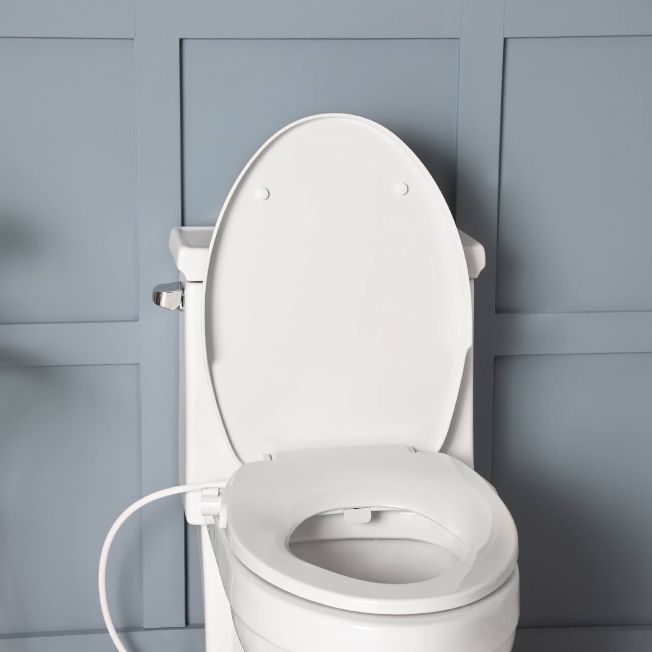 Bidet Toilet Seat