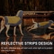 thumbnail image 5 of Chubasquero con capucha para perros, chaqueta impermeable portátil para mascotas, chubasquero para mascotas con tira reflectanteVerdeNúmero siete, 5 of 5