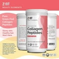Zint Collagen Peptides Supplement Powder, Paleo-Friendly, Types 1 & 3 ...