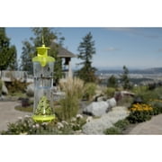 RESCUE! Outdoor Reusable W•H•Y Trap for Wasps, Hornets, and Yellowjackets Trap, 1 Pack