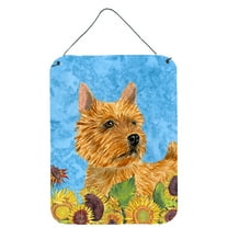 Norwich Terrier in Summer Flowers Wall or Door Hanging Prints