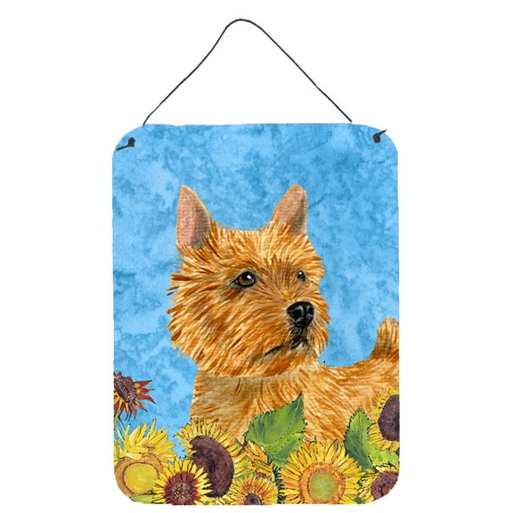 Norwich Terrier in Summer Flowers Wall or Door Hanging Prints