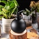 thumbnail image 5 of Planta Mister, 6,3 pulgadas de alto estilo Vintage rociador bomba una mano regadera botella de Spray de planta interior para ín, plantas, Macarena Botella de spray de riego, 5 of 8